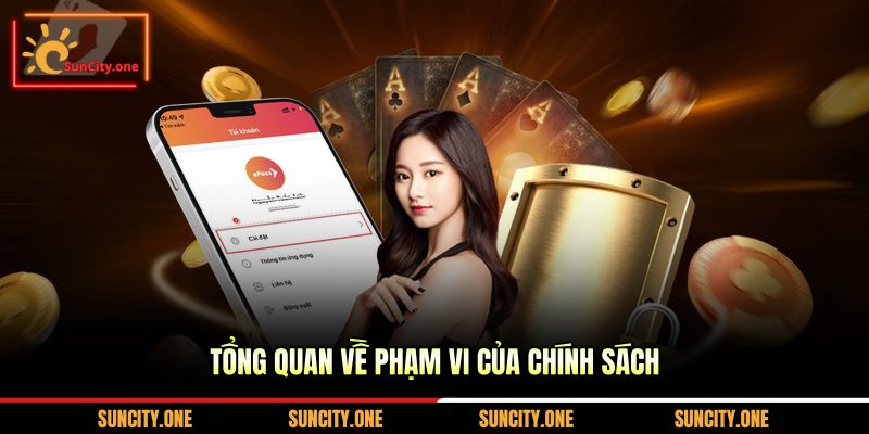 Tổng quan về phạm vi của chính sách