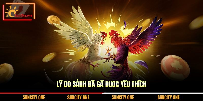 Lý do sảnh đá gà được yêu thích
