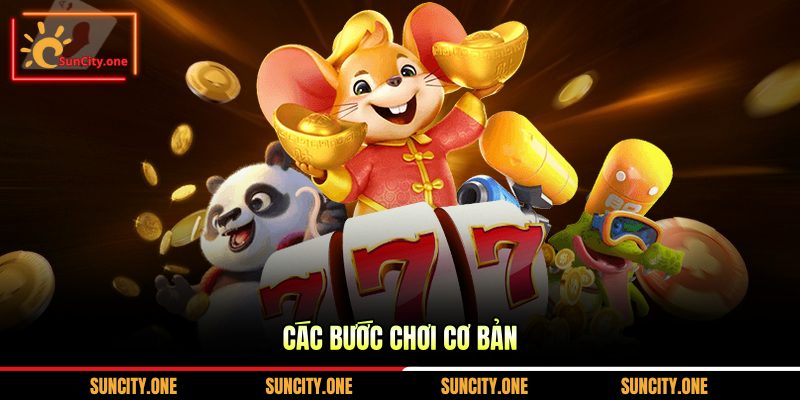 Các bước chơi cơ bản