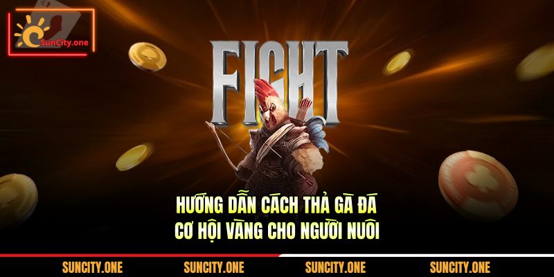 cách thả gà đá